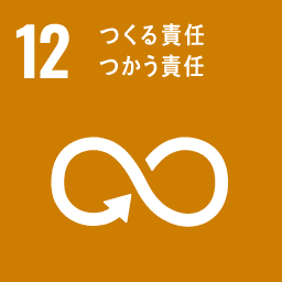Goal 12: Responsible Consumption and Production