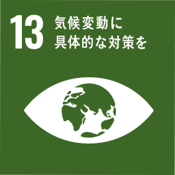 Goal 13: Climate Action