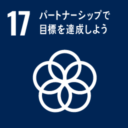 Goal 17: Partnerships for the Goals